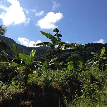 Roots Jungle Retreat Villa Marigot Exterior foto