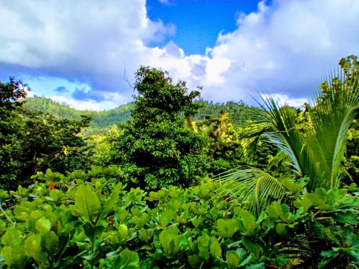 Roots Jungle Retreat Villa Marigot Exterior foto