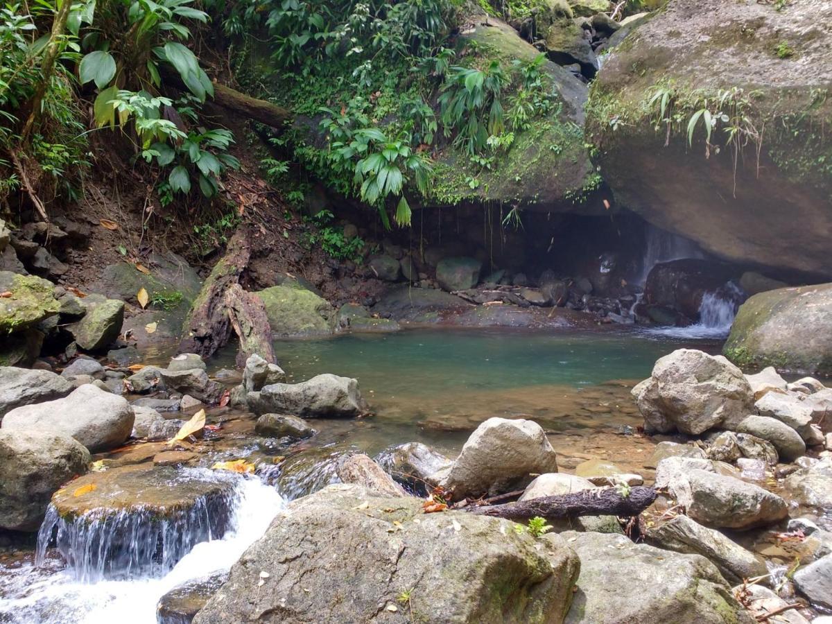 Roots Jungle Retreat Villa Marigot Exterior foto