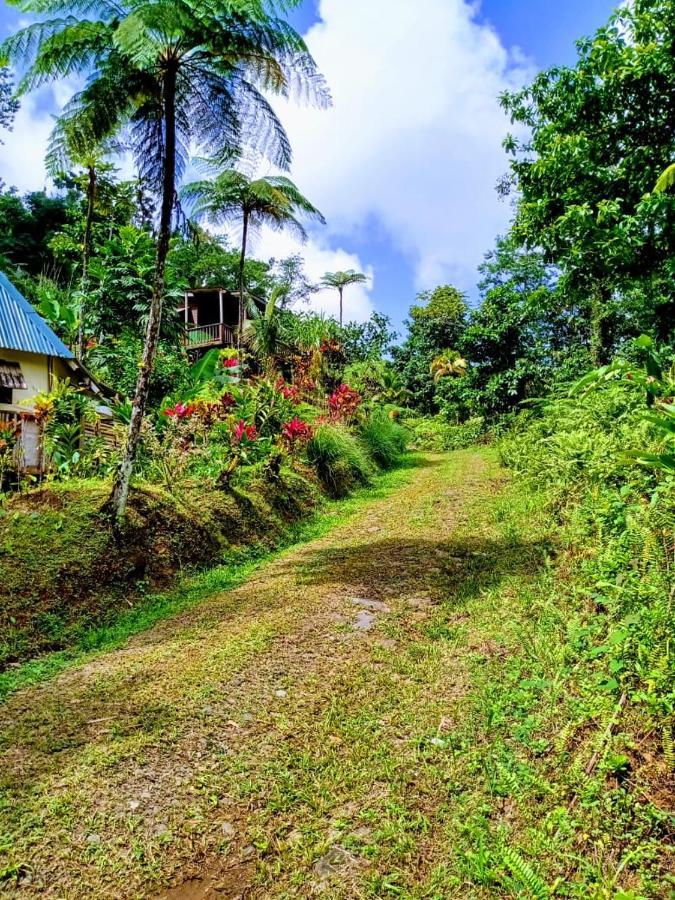 Roots Jungle Retreat Villa Marigot Exterior foto