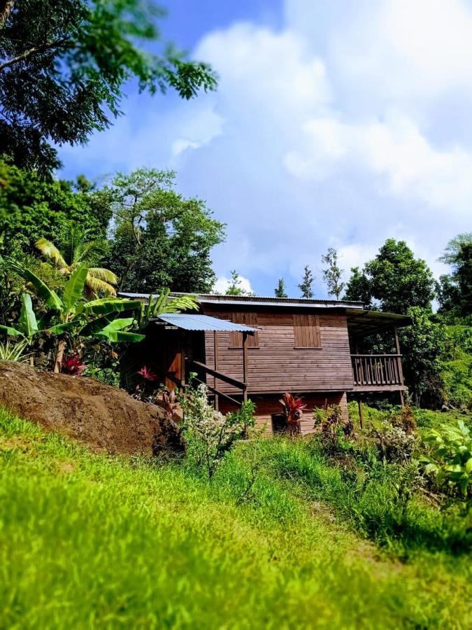 Roots Jungle Retreat Villa Marigot Exterior foto