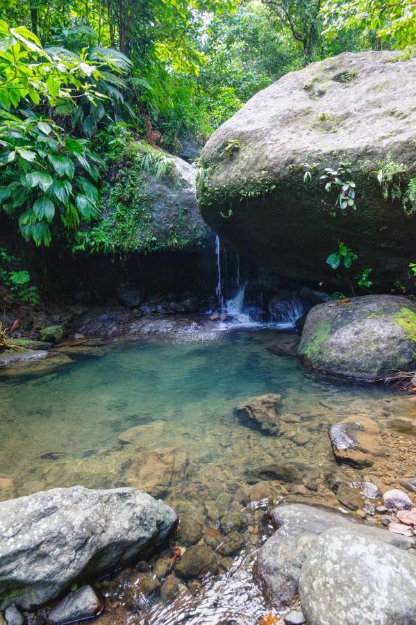 Roots Jungle Retreat Villa Marigot Exterior foto