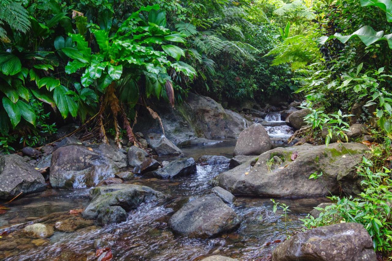 Roots Jungle Retreat Villa Marigot Exterior foto