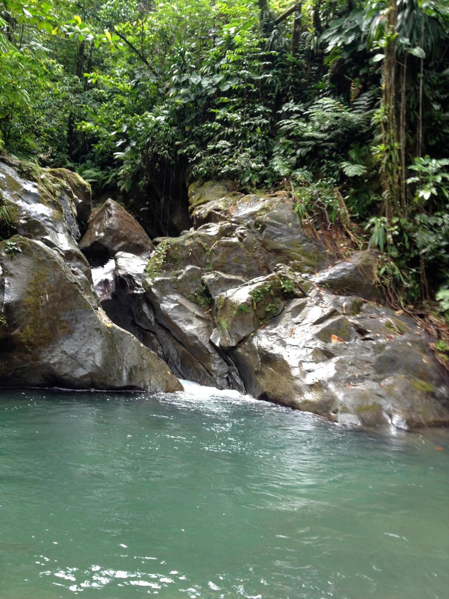 Roots Jungle Retreat Villa Marigot Exterior foto