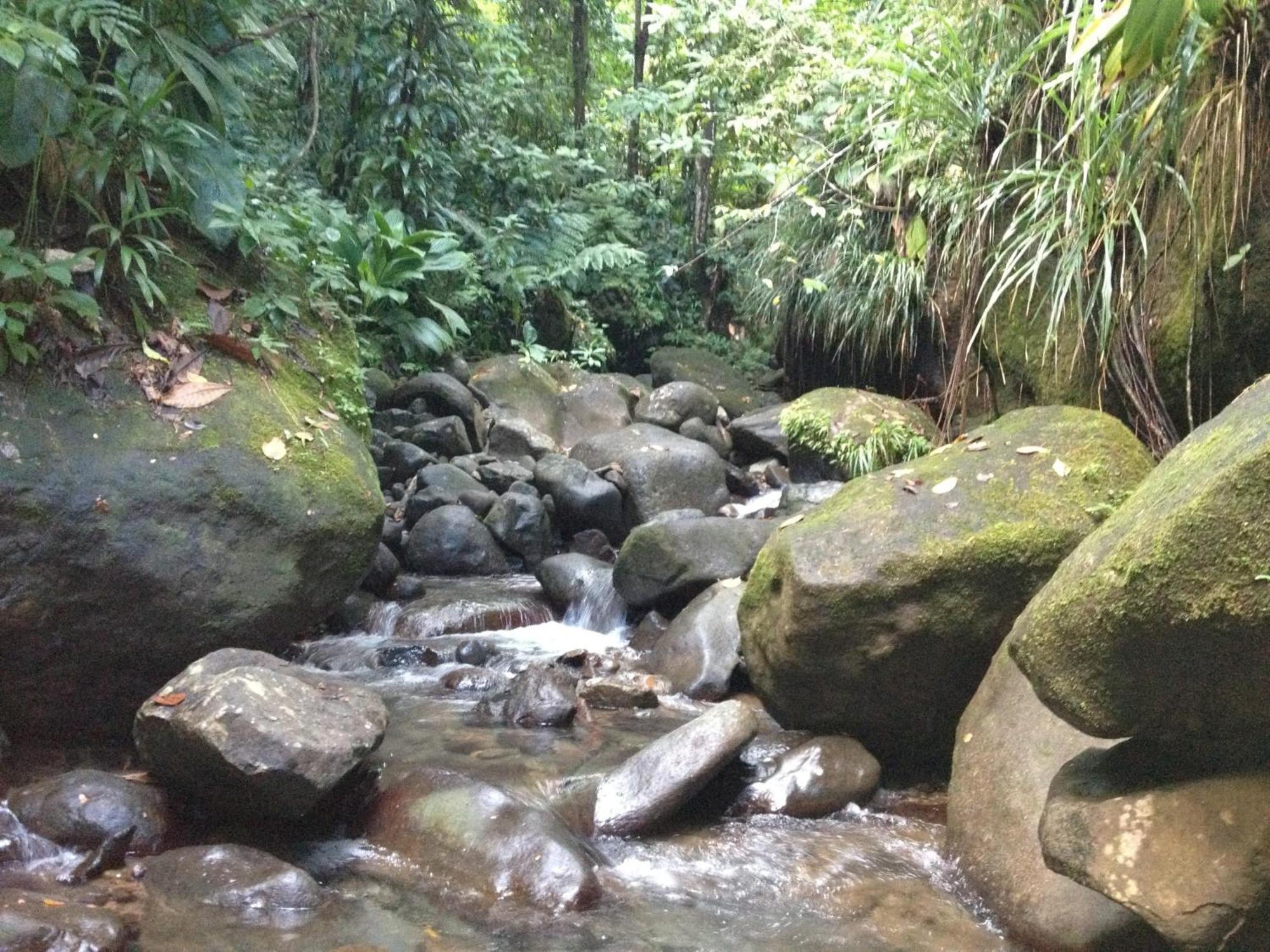 Roots Jungle Retreat Villa Marigot Exterior foto