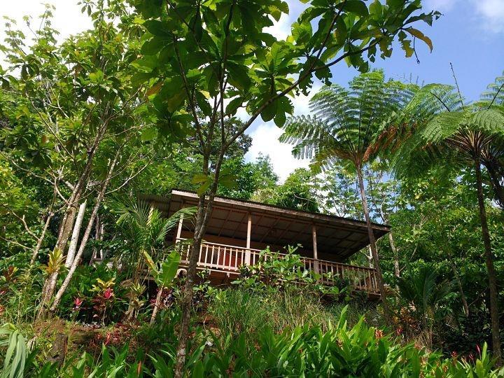 Roots Jungle Retreat Villa Marigot Exterior foto