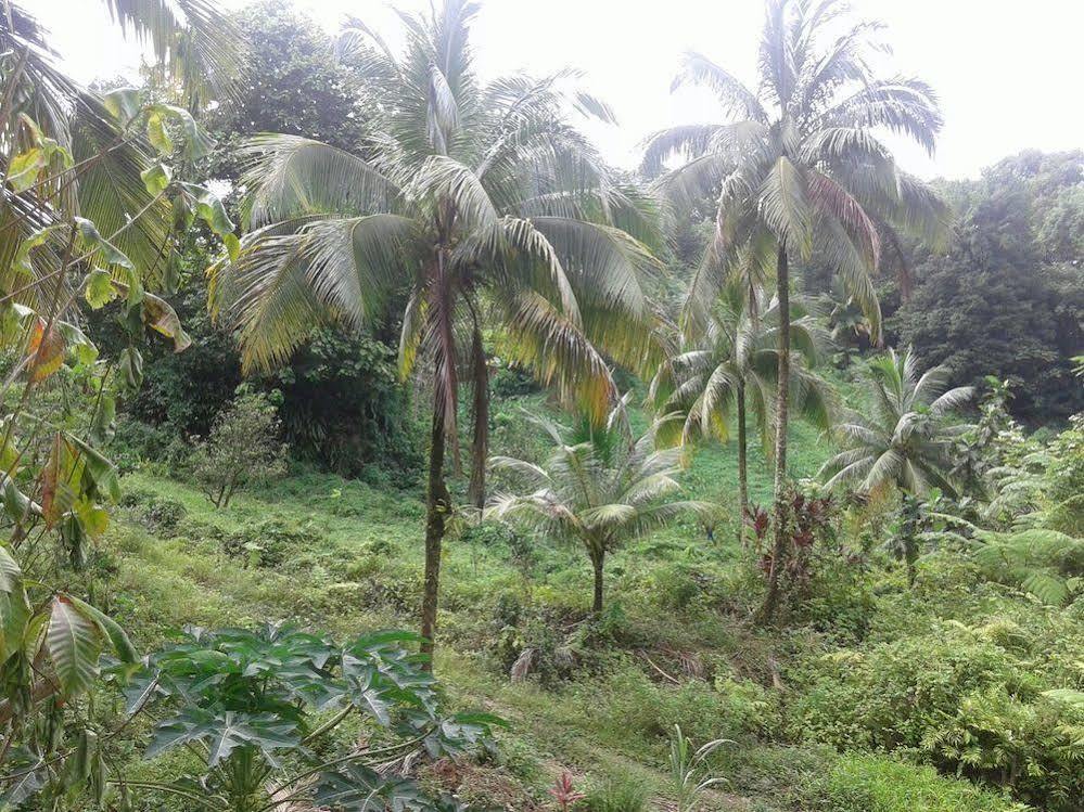 Roots Jungle Retreat Villa Marigot Exterior foto