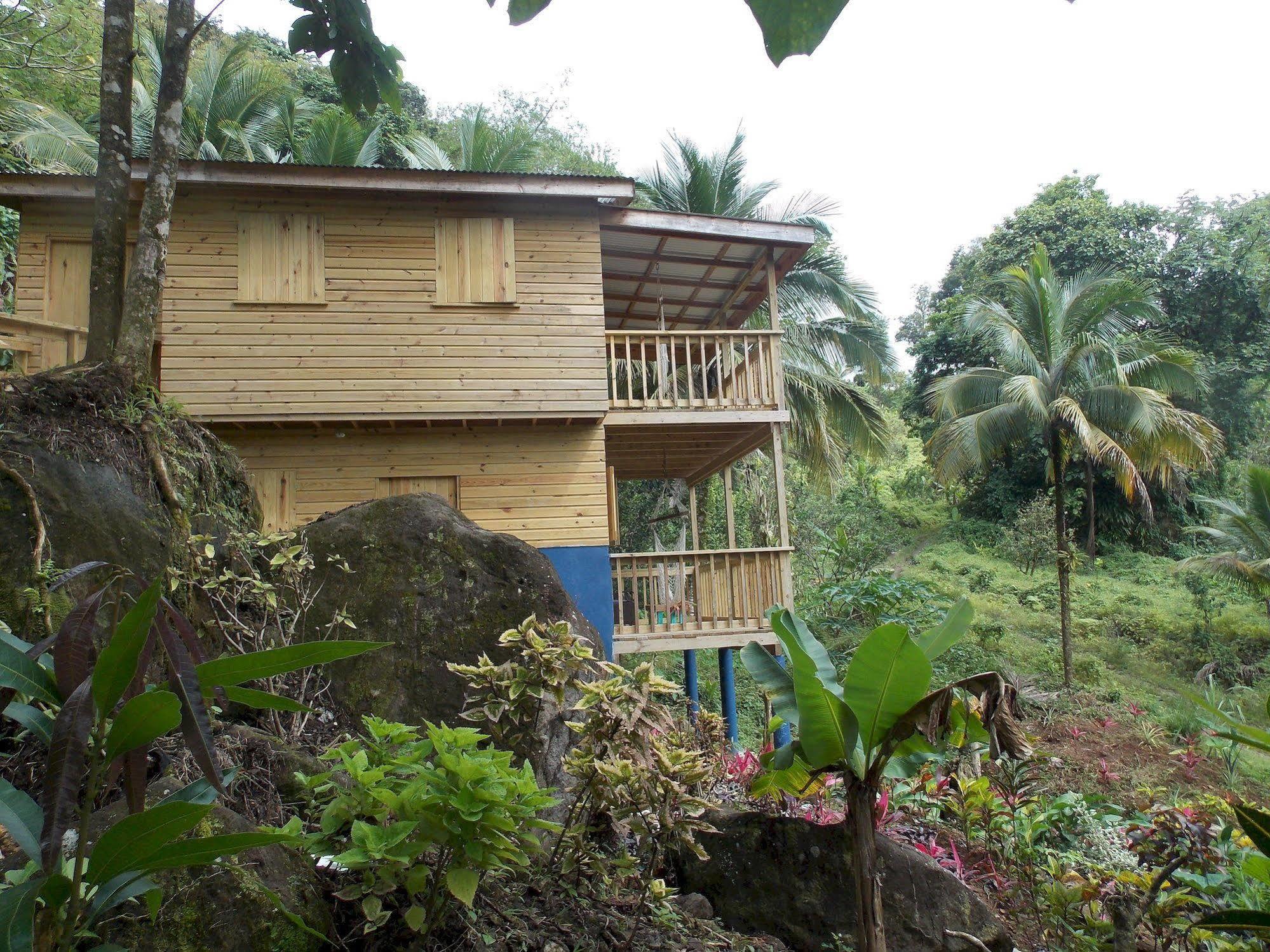 Roots Jungle Retreat Villa Marigot Exterior foto