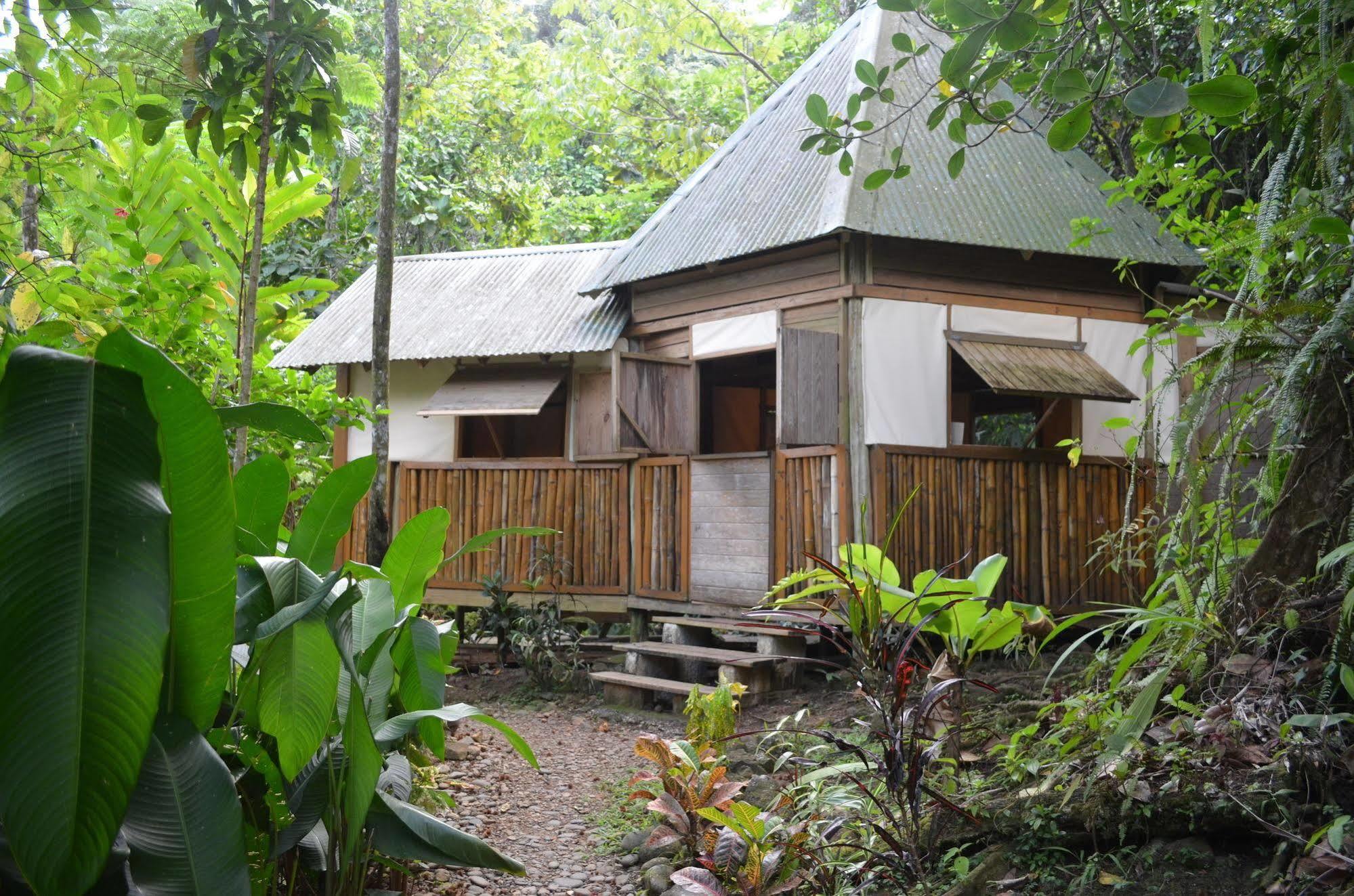 Roots Jungle Retreat Villa Marigot Exterior foto