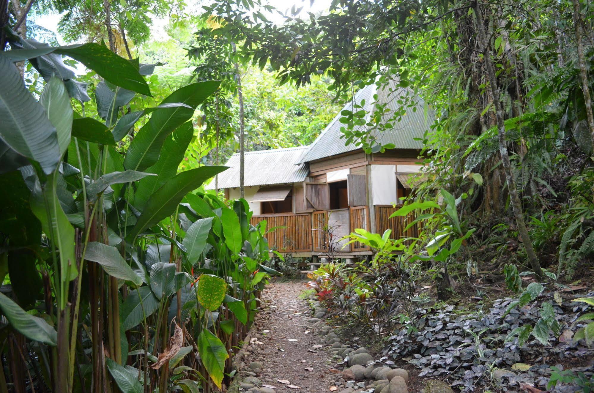 Roots Jungle Retreat Villa Marigot Exterior foto